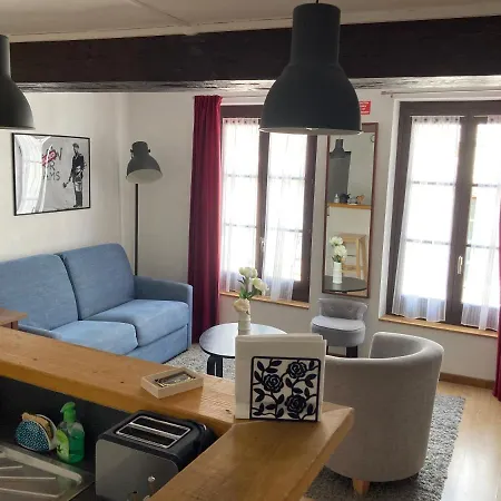 T3 Duplex Hyper Centre Historique Apartment Troyes