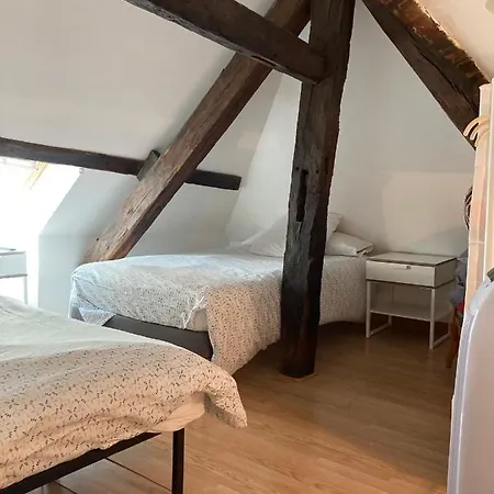 Apartment T3 Duplex Hyper Centre Historique Troyes